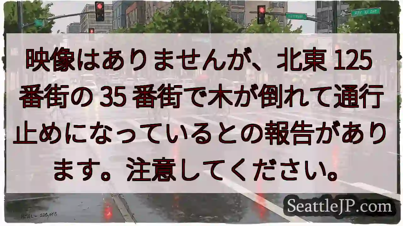 映像はありませんが、北東 125 番街の 35
