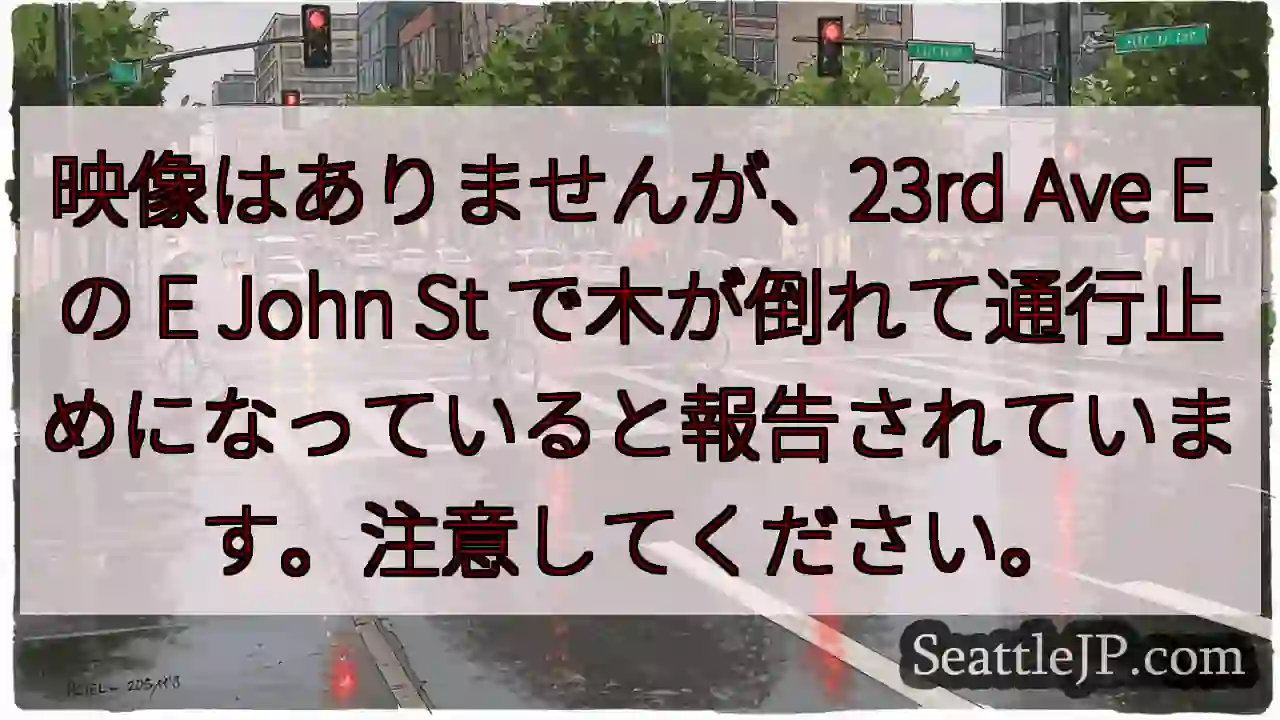 映像はありませんが、23rd Ave E の E John St