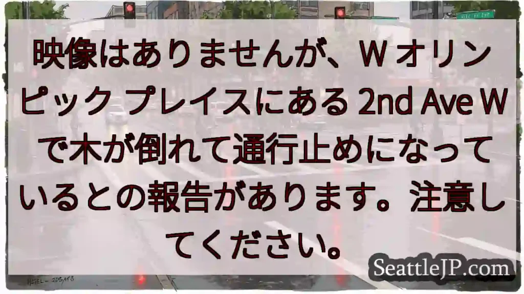 映像はありませんが、W オリンピック プレイスにある 2nd Ave W