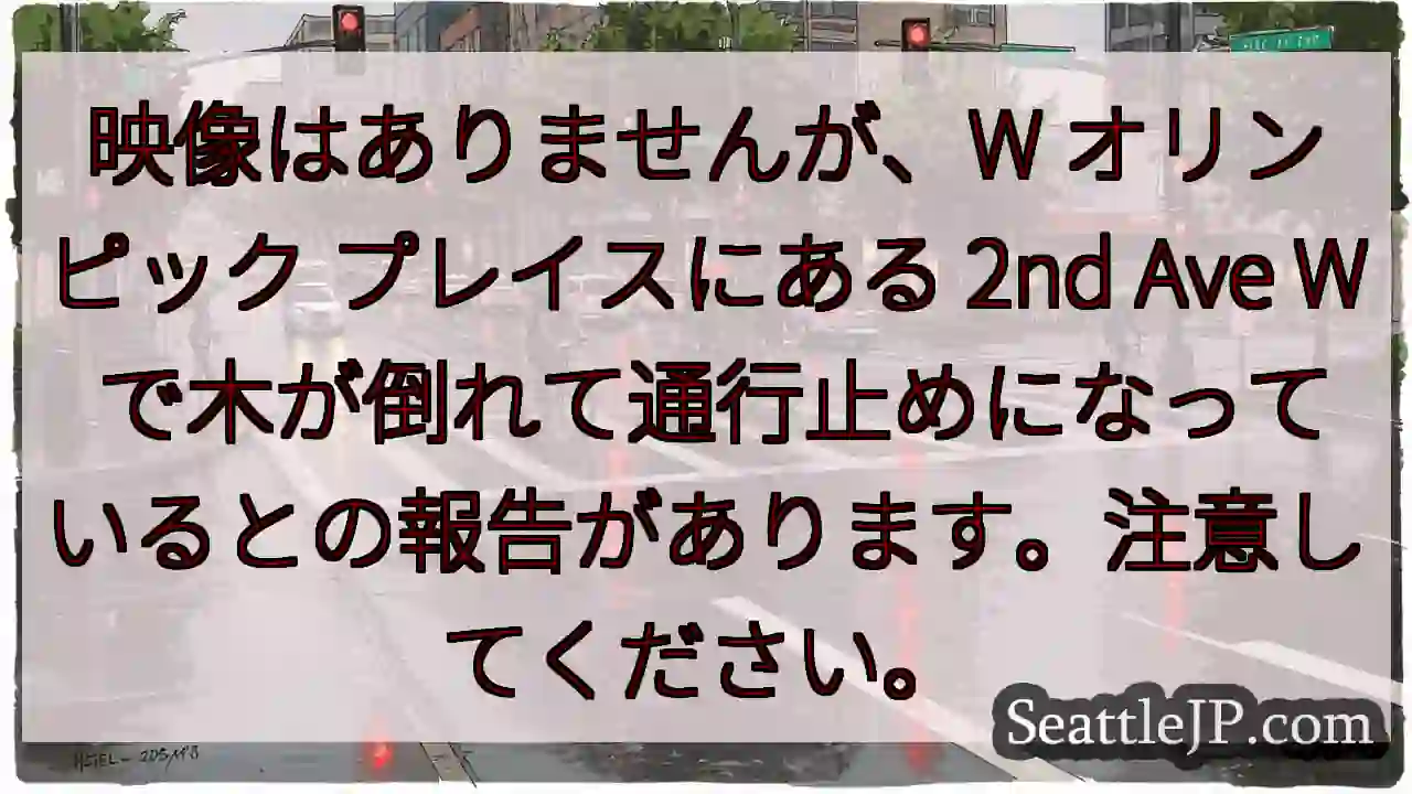 映像はありませんが、W オリンピック プレイスにある 2nd Ave W