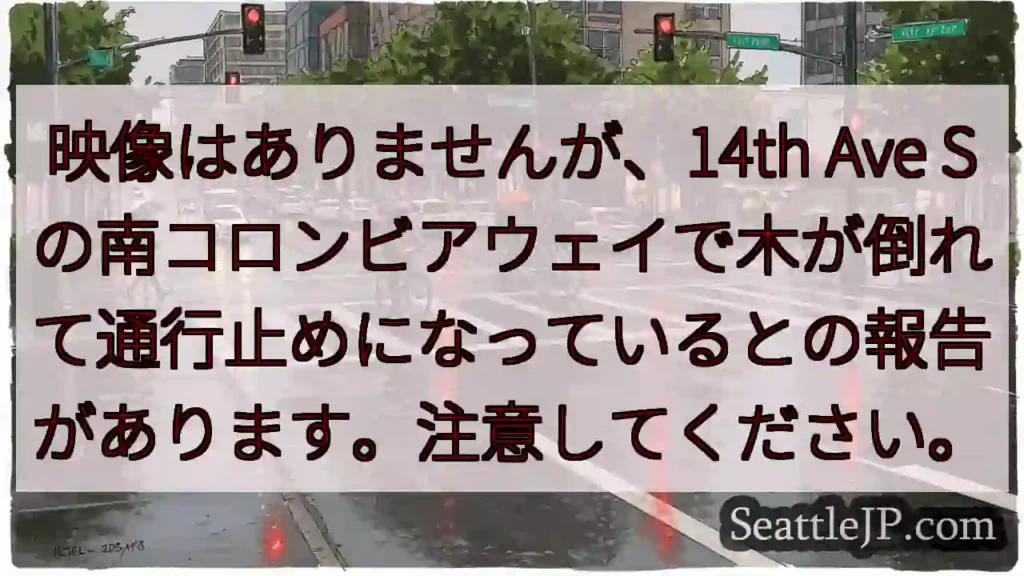映像はありませんが、14th Ave