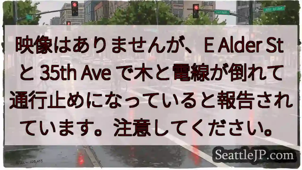 映像はありませんが、E Alder St と 35th Ave