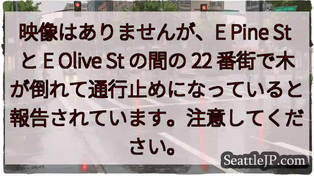 映像はありませんが、E Pine St と E Olive St の間の 22