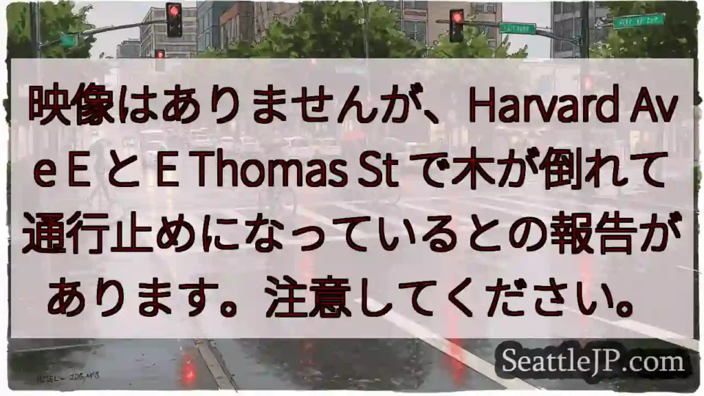 映像はありませんが、Harvard Ave E と E Thomas St