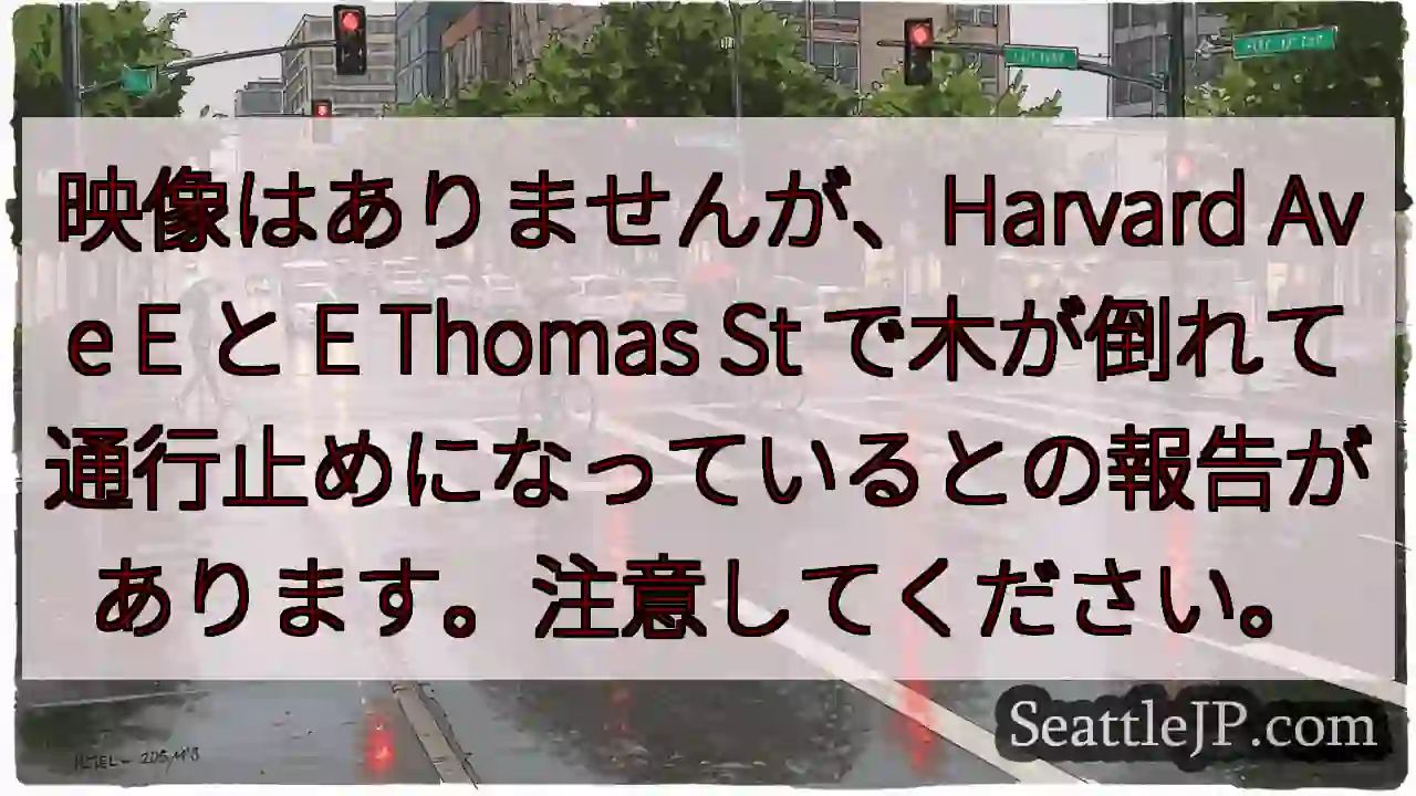 映像はありませんが、Harvard Ave E と E Thomas St