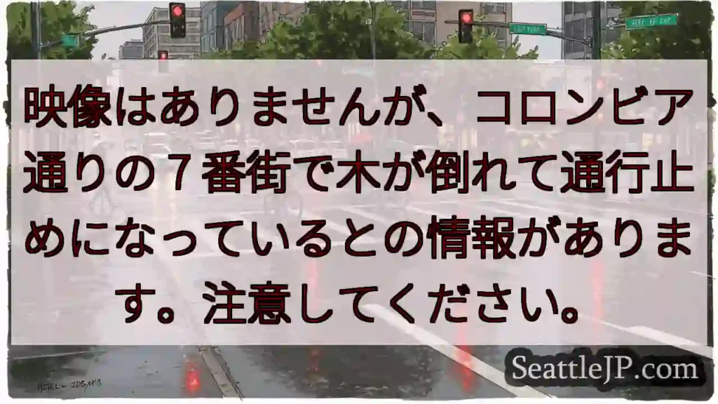 映像はありませんが、コロンビア通りの 7