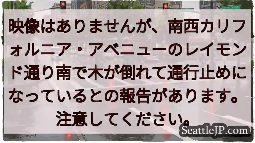映像はありませんが、南西カリフォルニア・アベニューのレイモンド通り南で木が倒れて通行止めになっている