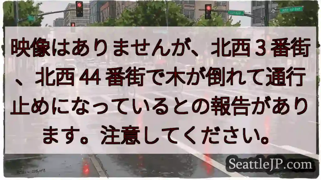 映像はありませんが、北西 3 番街、北西 44