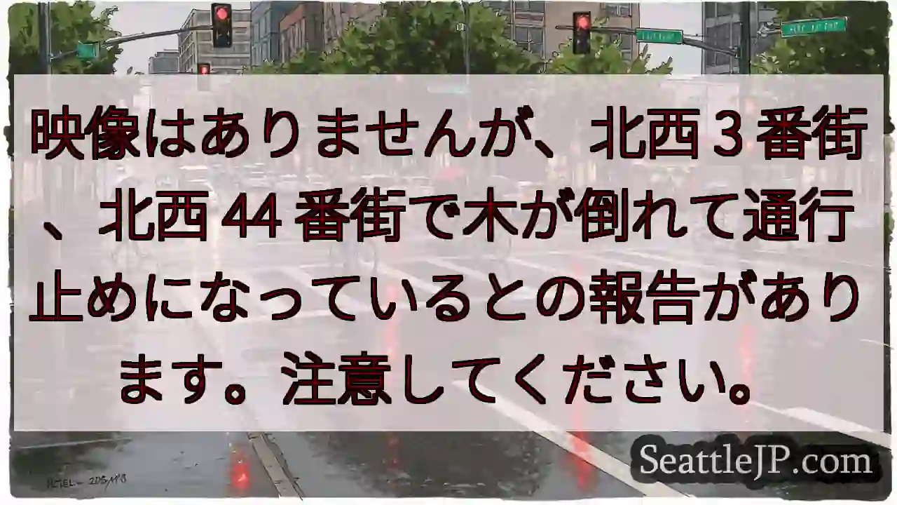映像はありませんが、北西 3 番街、北西 44