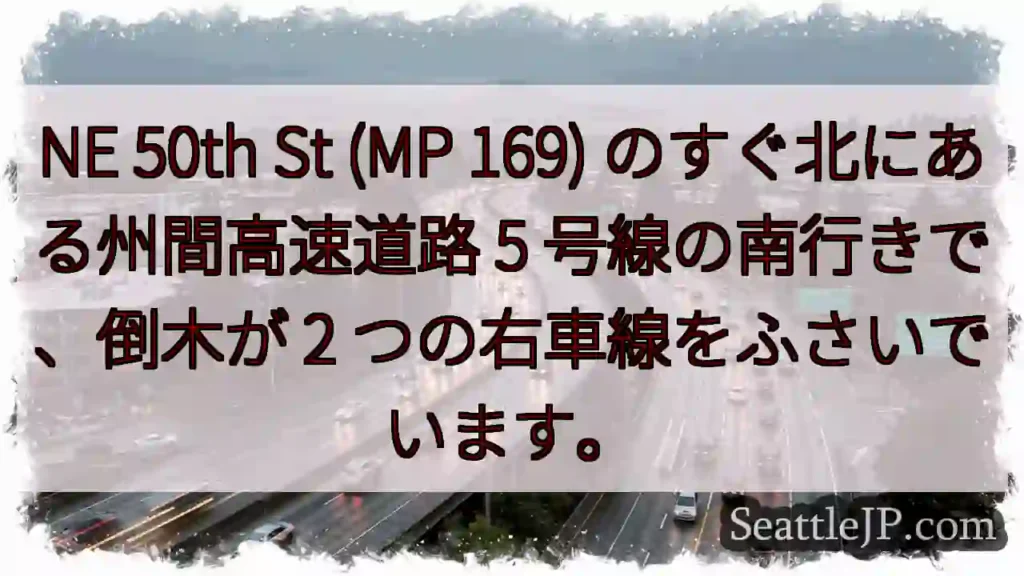 NE 50th St (MP 169) のすぐ北にある州間高速道路 5 号線の南行きで、倒木が 2