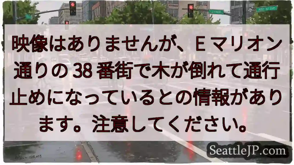 映像はありませんが、E マリオン通りの 38