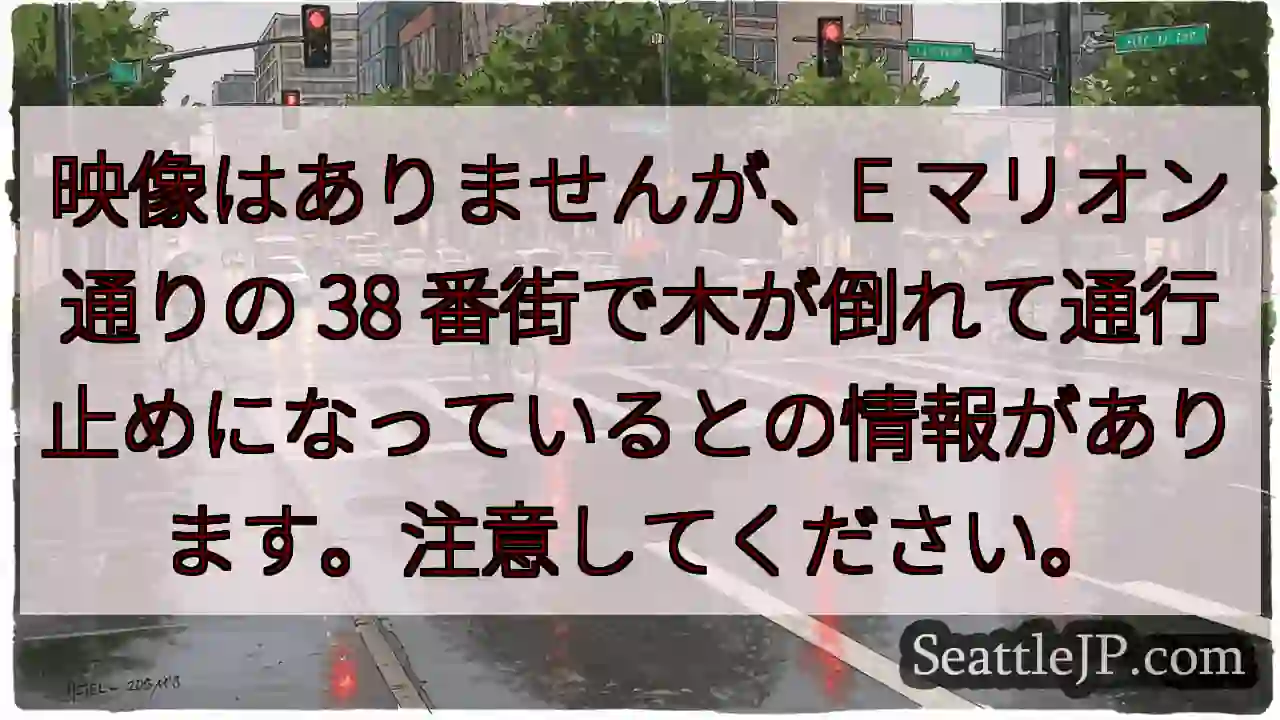 映像はありませんが、E マリオン通りの 38