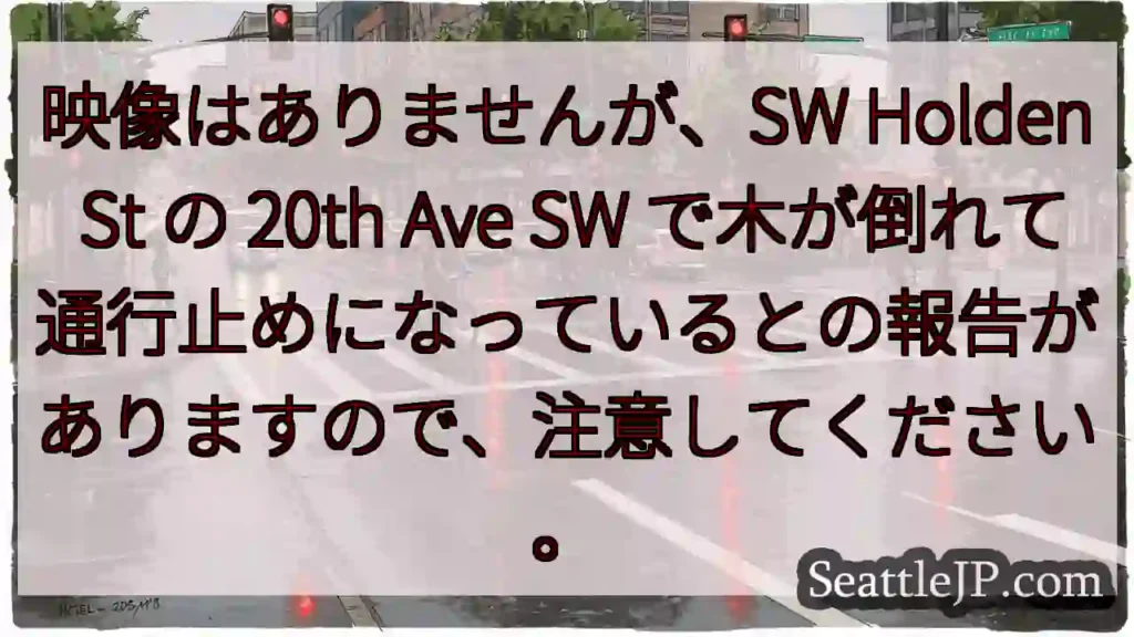 映像はありませんが、SW Holden St の 20th Ave SW