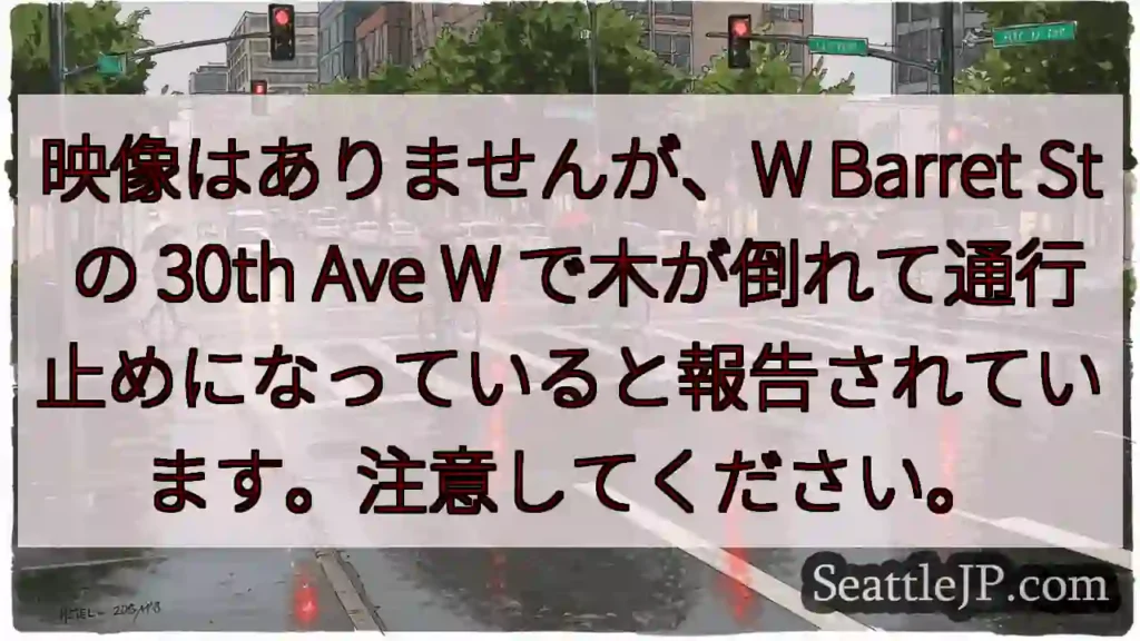 映像はありませんが、W Barret St の 30th Ave W