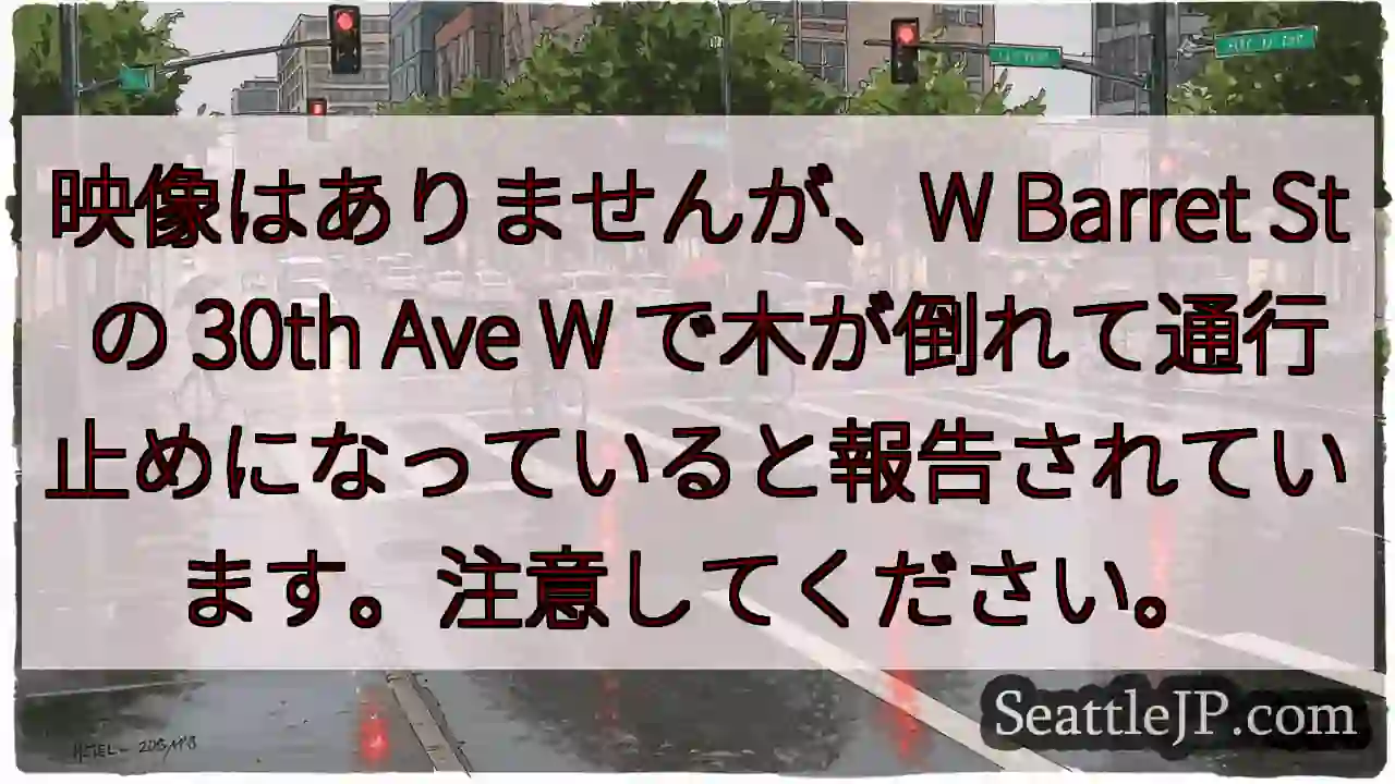 映像はありませんが、W Barret St の 30th Ave W