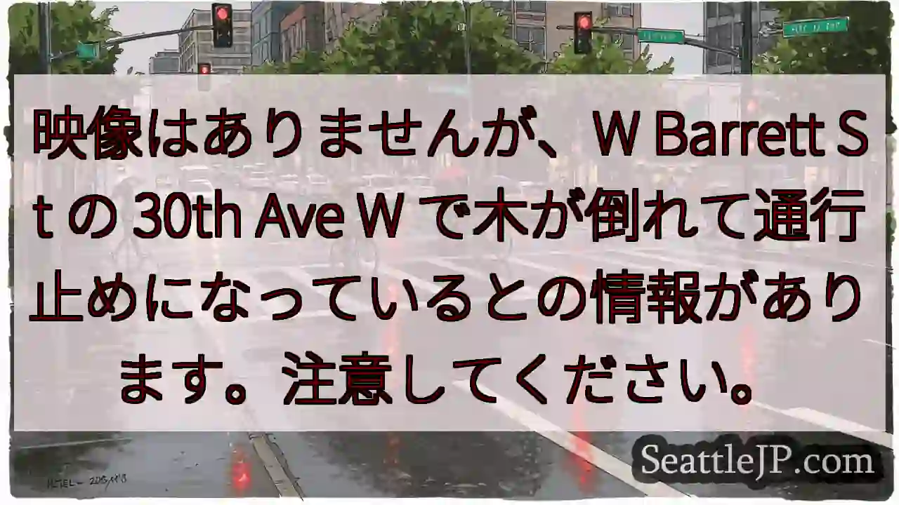 映像はありませんが、W Barrett St の 30th Ave W