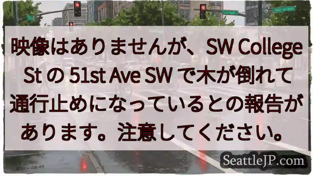 映像はありませんが、SW College St の 51st Ave SW