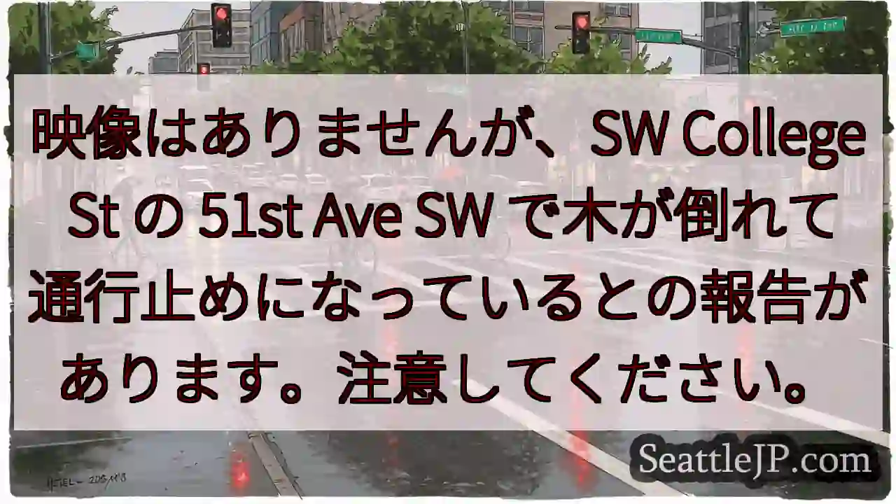映像はありませんが、SW College St の 51st Ave SW