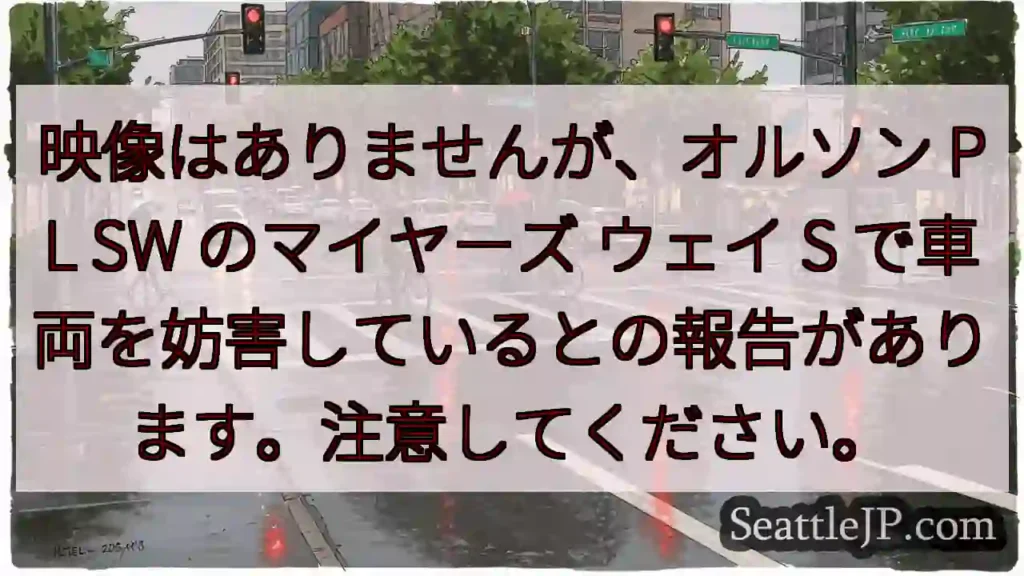 映像はありませんが、オルソン PL SW のマイヤーズ ウェイ S