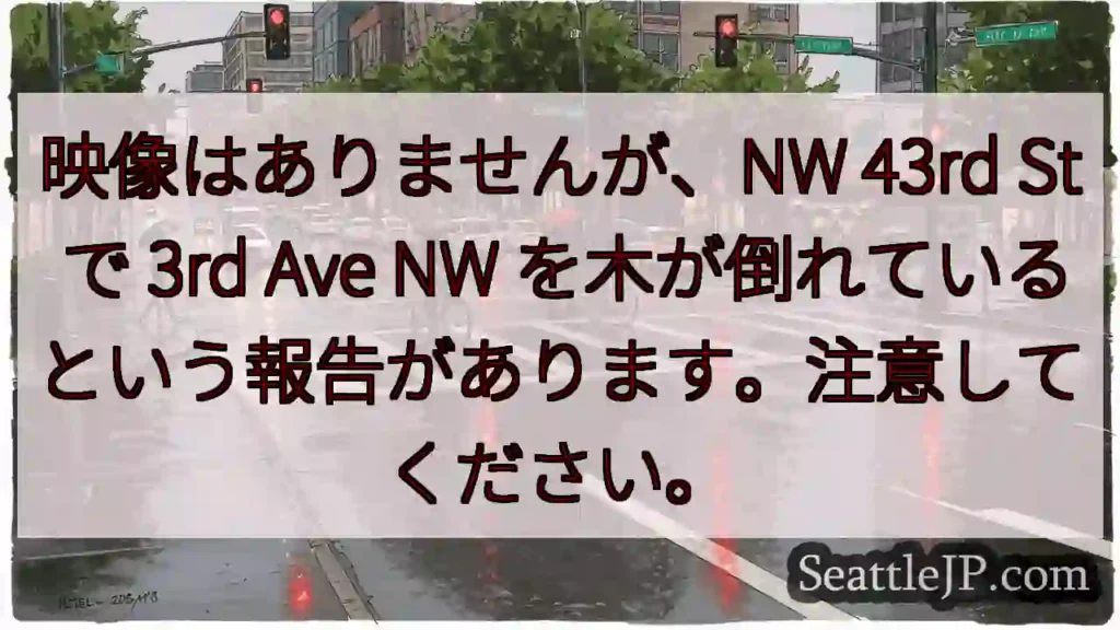 映像はありませんが、NW 43rd St で 3rd Ave NW