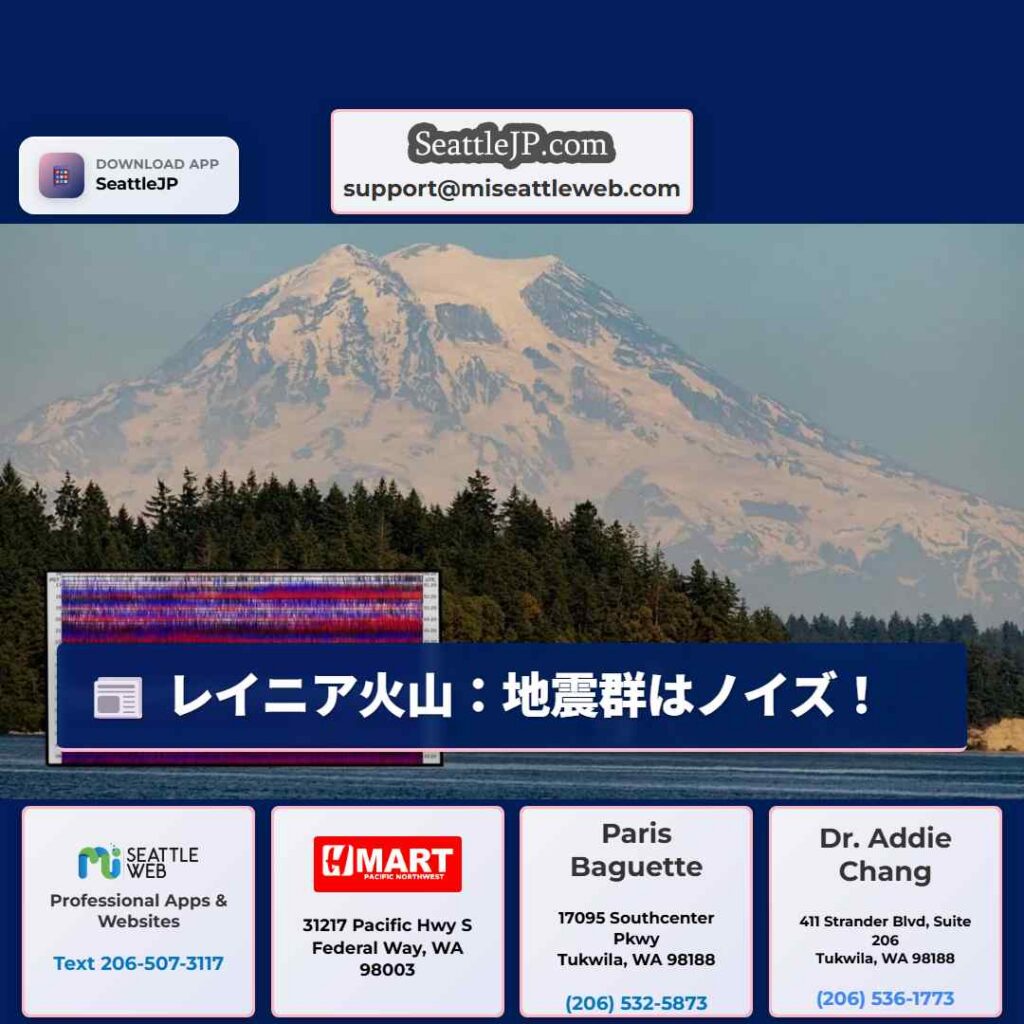 レイニア火山：地震群はノイズ！