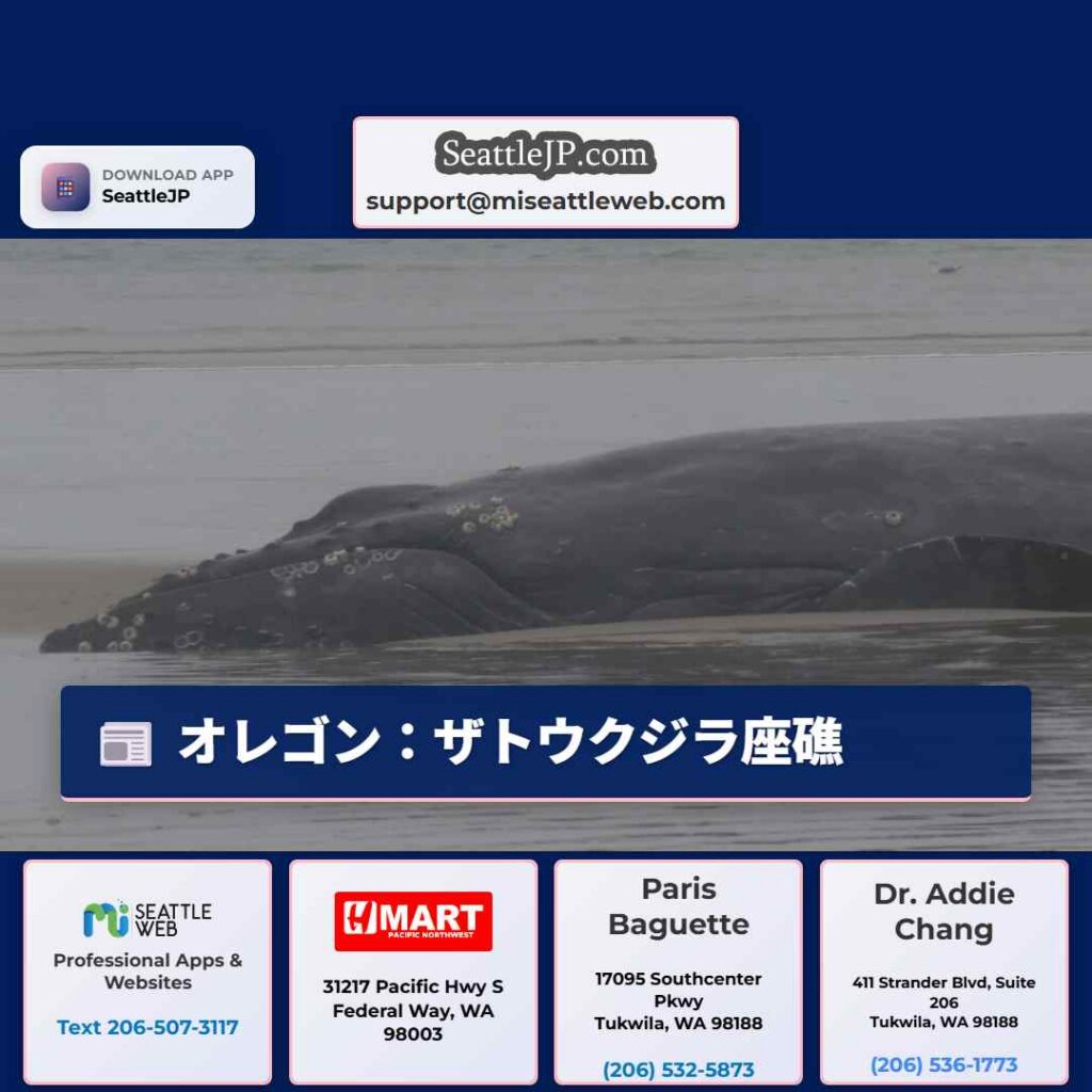 オレゴン：ザトウクジラ座礁