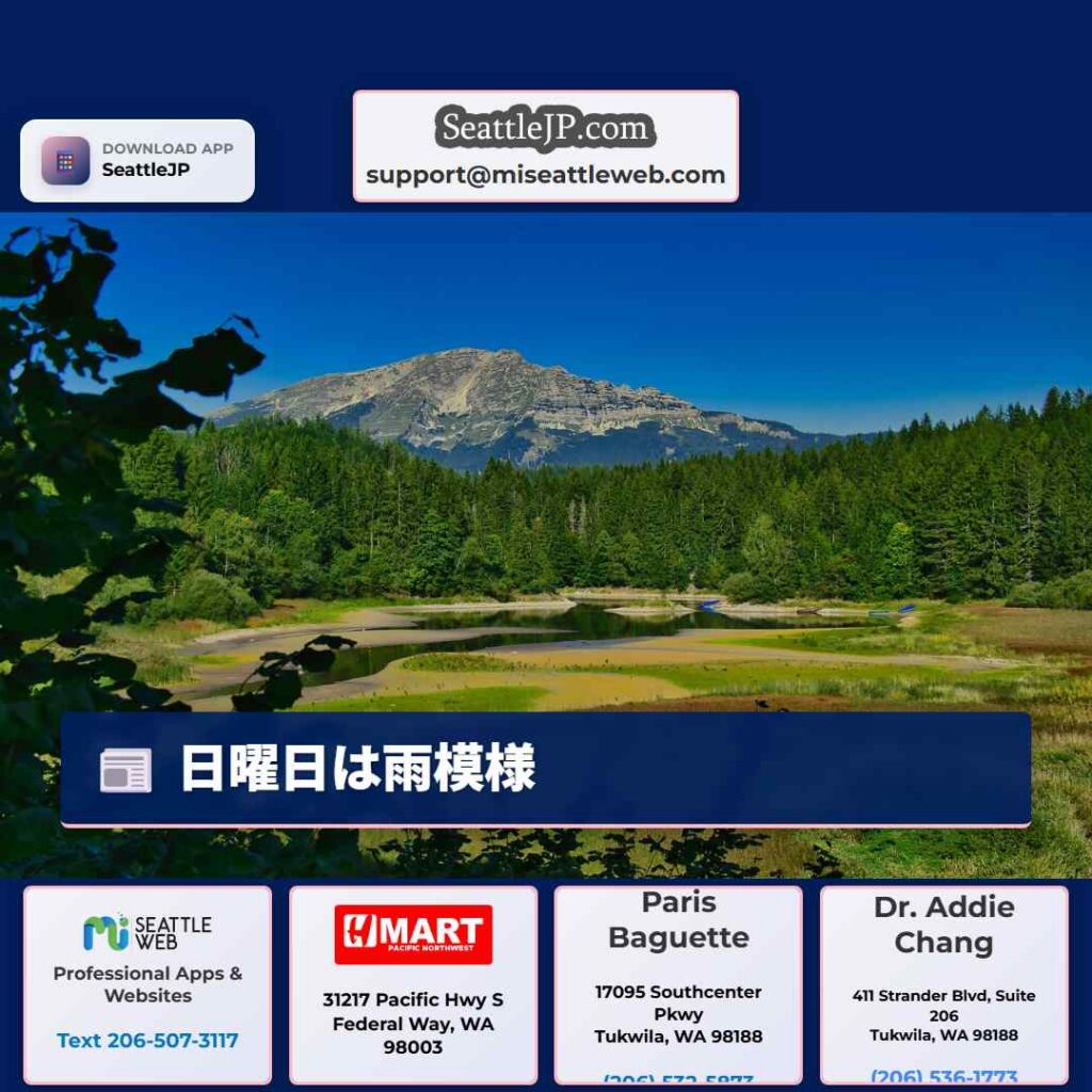 日曜日は雨模様