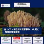 シアタックで銃撃事件、1人死亡 – 警察が捜査開始、感謝祭の旅行シーズンと地域ニュース