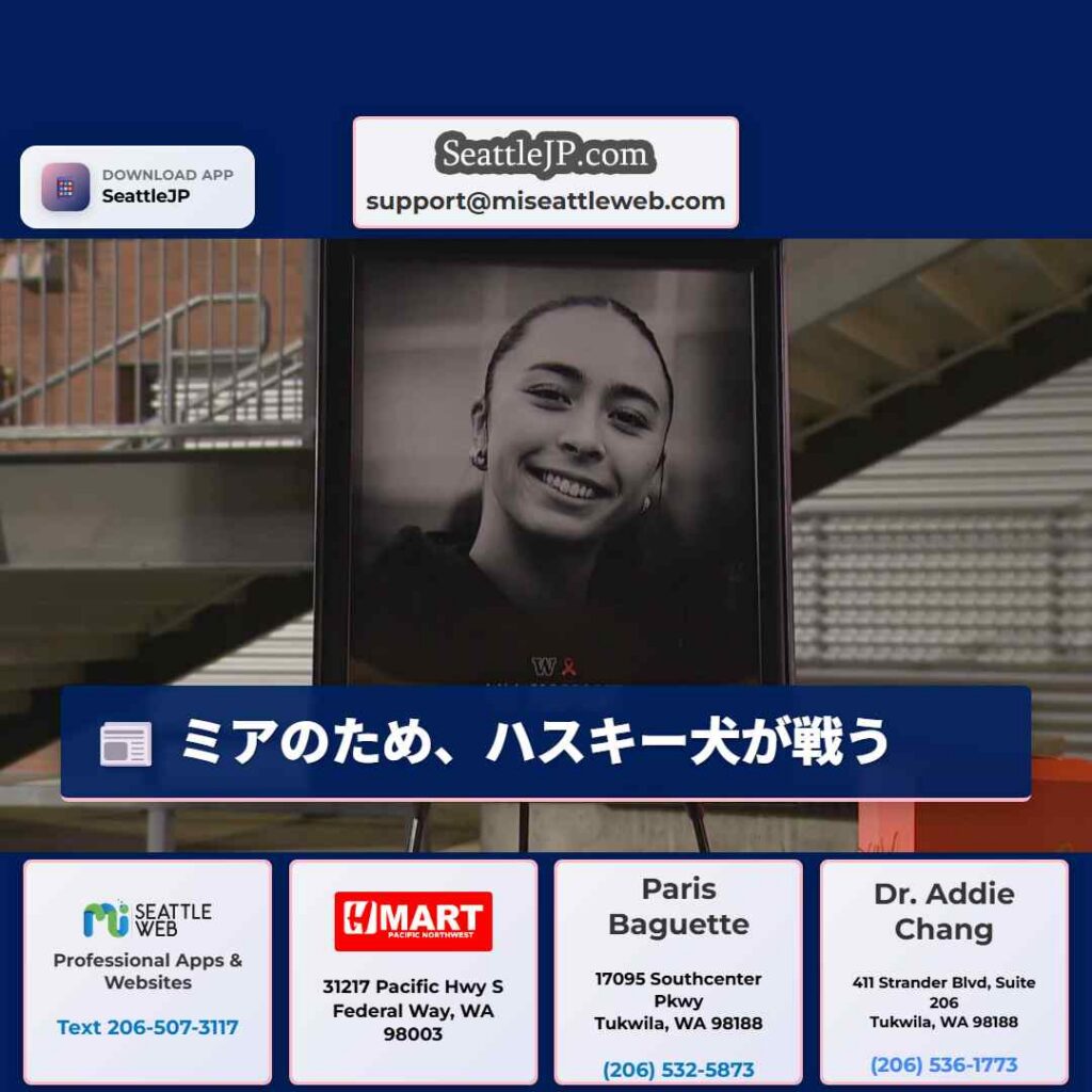 ミアのため、ハスキー犬が戦う