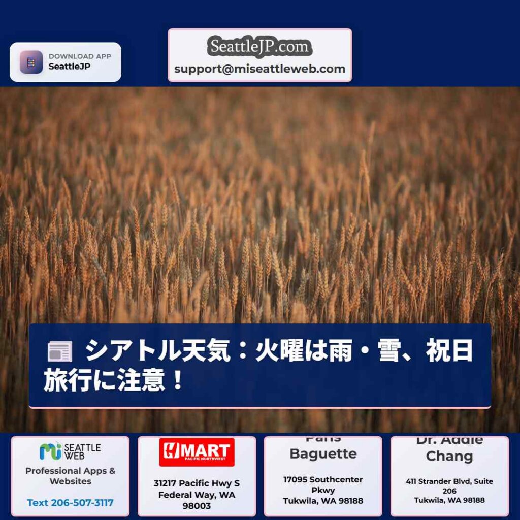 シアトル天気：火曜は雨・雪、祝日旅行に注意！