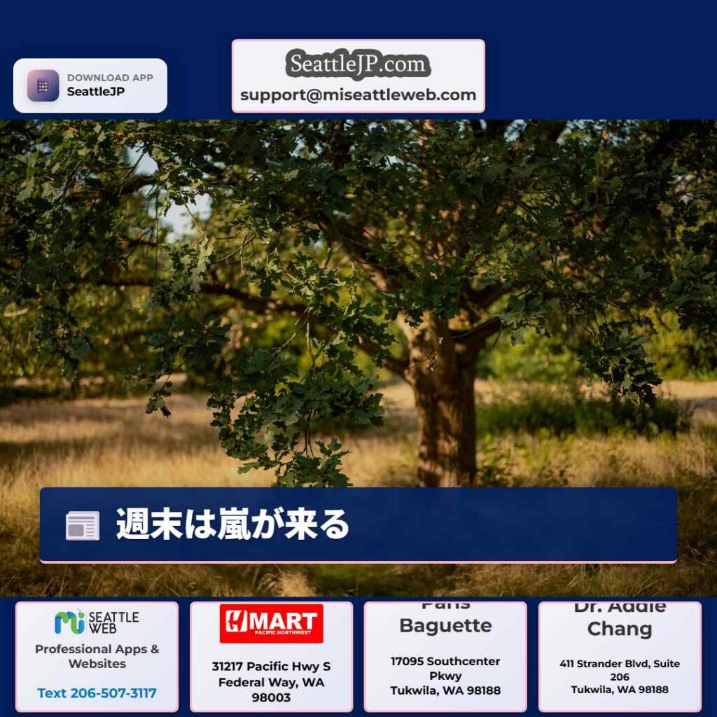 週末は嵐が来る