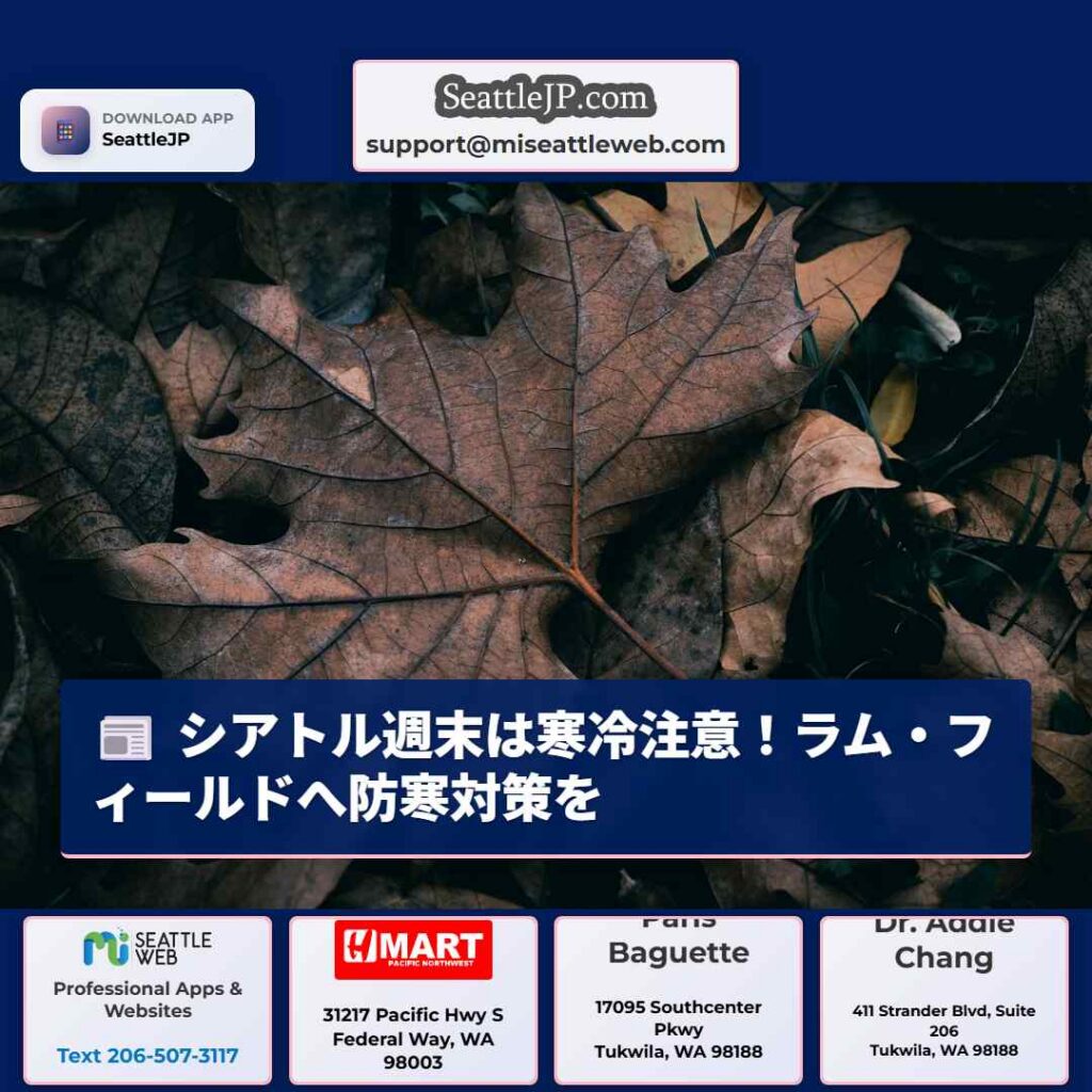 シアトル週末は寒冷注意！ラム・フィールドへ防寒対策を