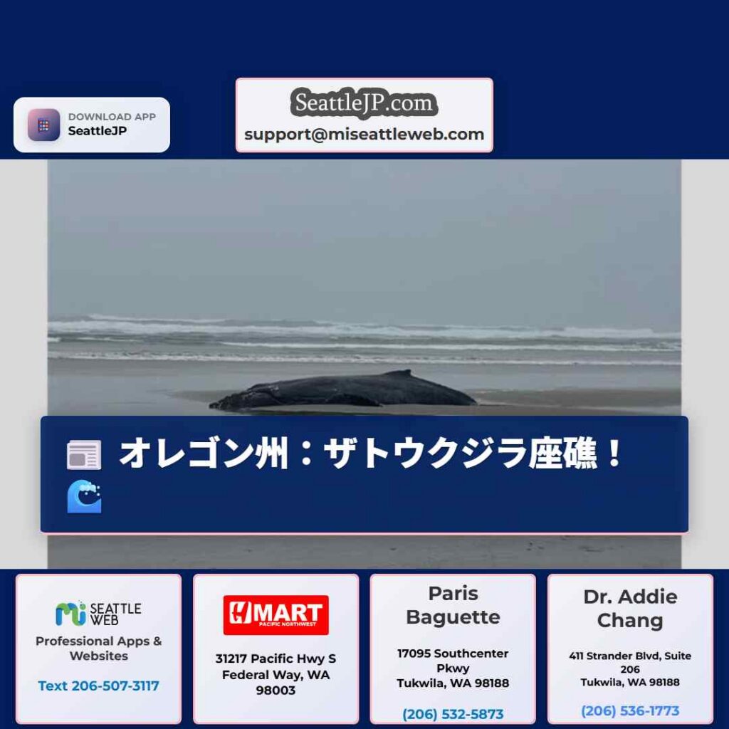 オレゴン州：ザトウクジラ座礁！🌊