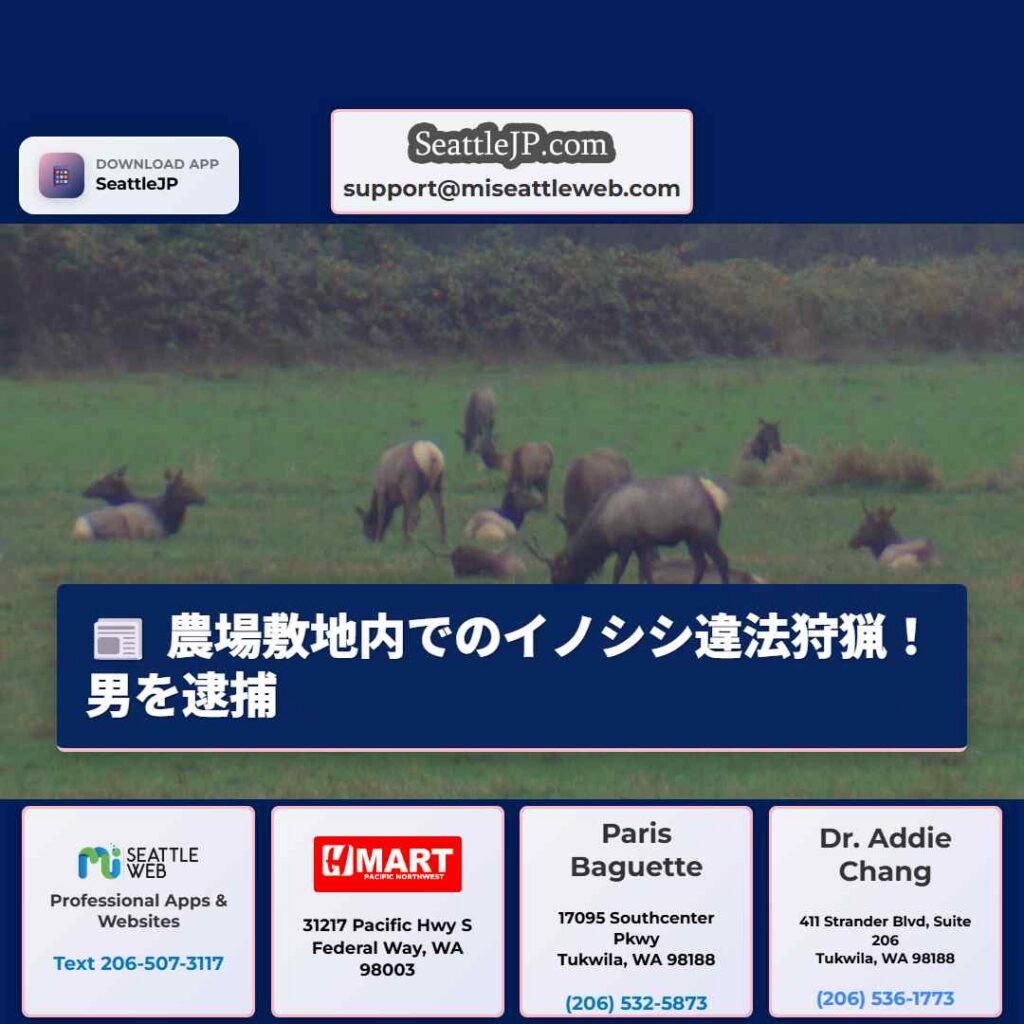 農場敷地内でのイノシシ違法狩猟！男を逮捕