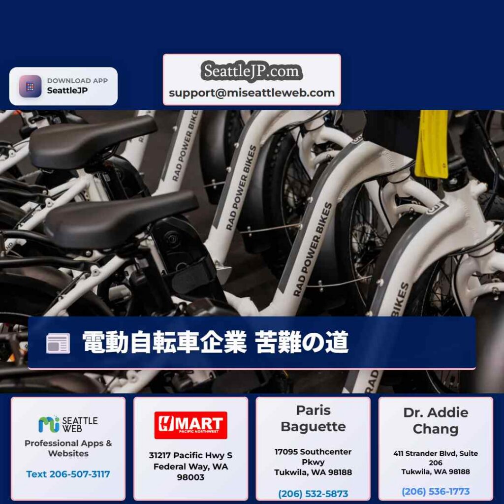 電動自転車企業 苦難の道