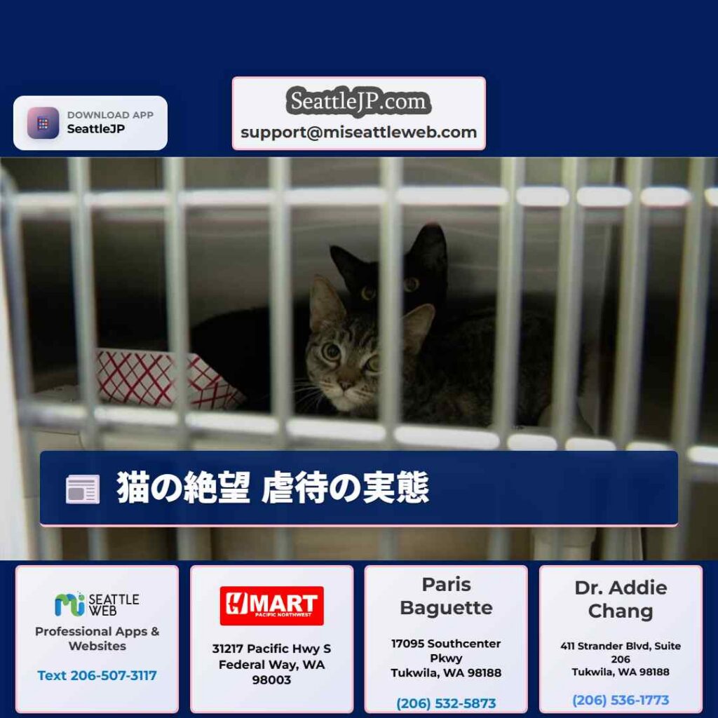 猫の絶望 虐待の実態