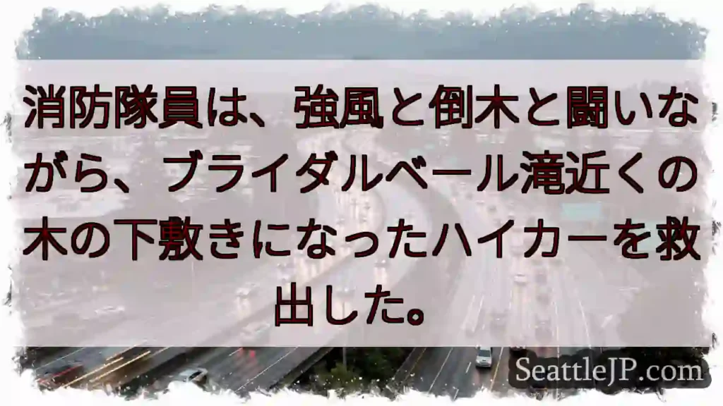消防隊員は、強風と倒木と闘いながら、ブライダルベール滝近くの木の下敷きになったハイカーを救出した。
