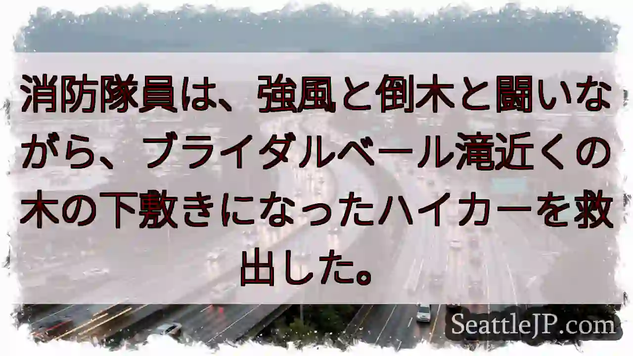 消防隊員は、強風と倒木と闘いながら、ブライダルベール滝近くの木の下敷きになったハイカーを救出した。