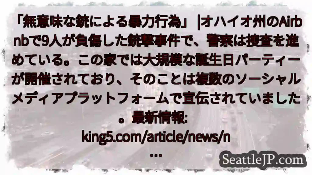 「無意味な銃による暴力行為」