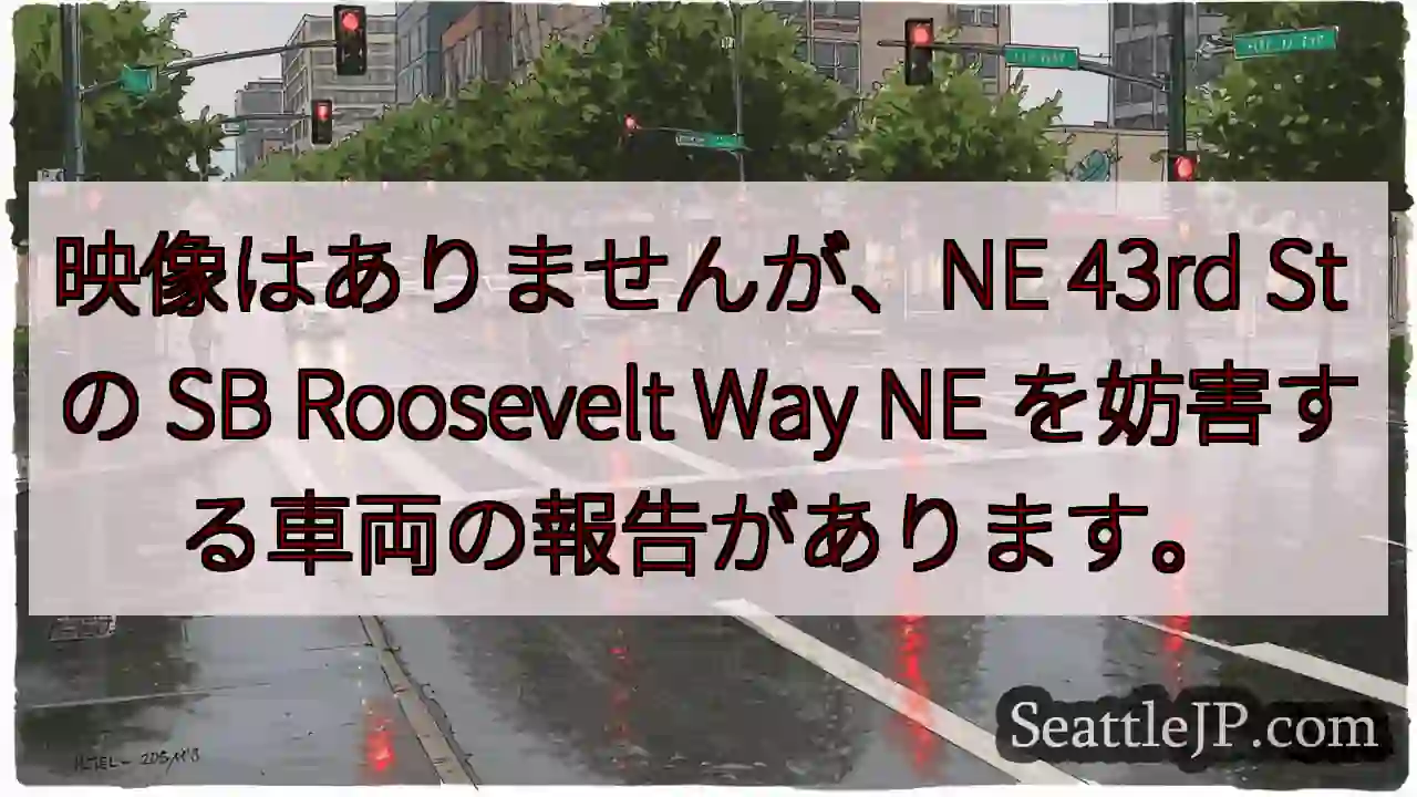 映像はありませんが、NE 43rd St の SB Roosevelt Way NE
