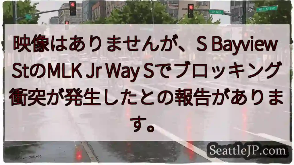 映像はありませんが、S Bayview StのMLK Jr Way
