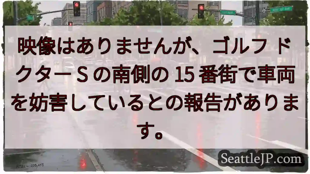 映像はありませんが、ゴルフ ドクター S の南側の 15
