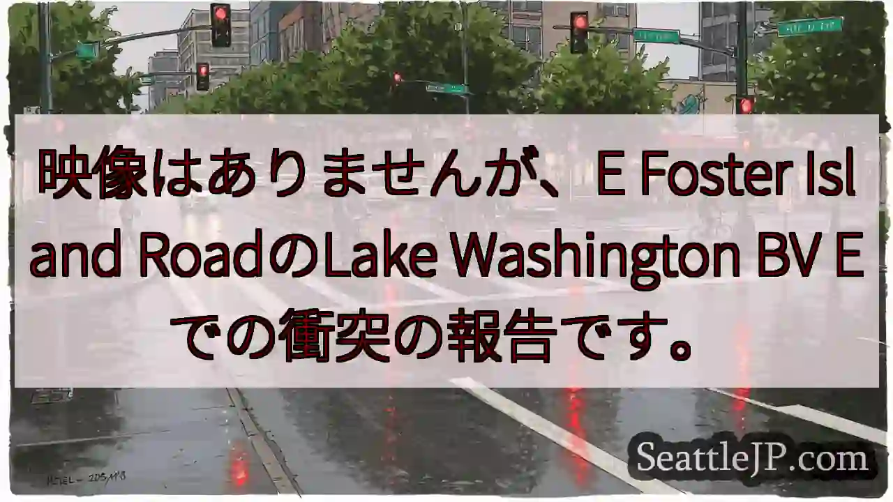 映像はありませんが、E Foster Island RoadのLake Washington BV