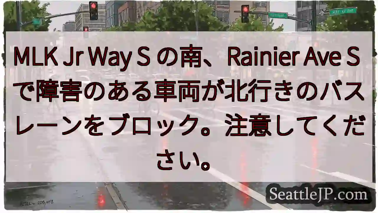 MLK Jr Way S の南、Rainier Ave S