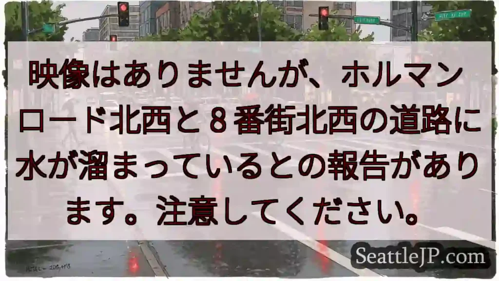 映像はありませんが、ホルマン ロード北西と 8