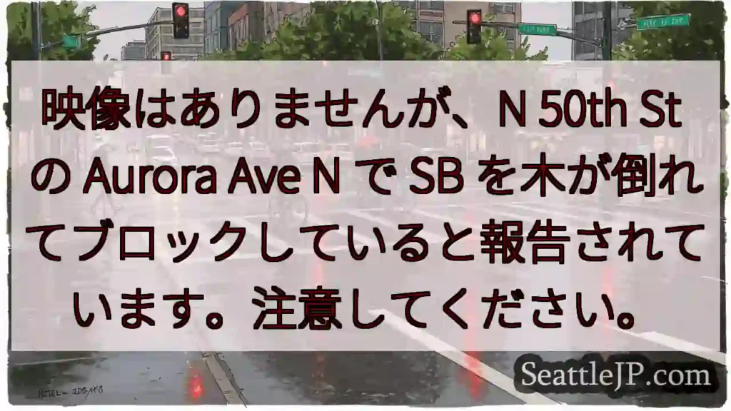 映像はありませんが、N 50th St の Aurora Ave N で SB