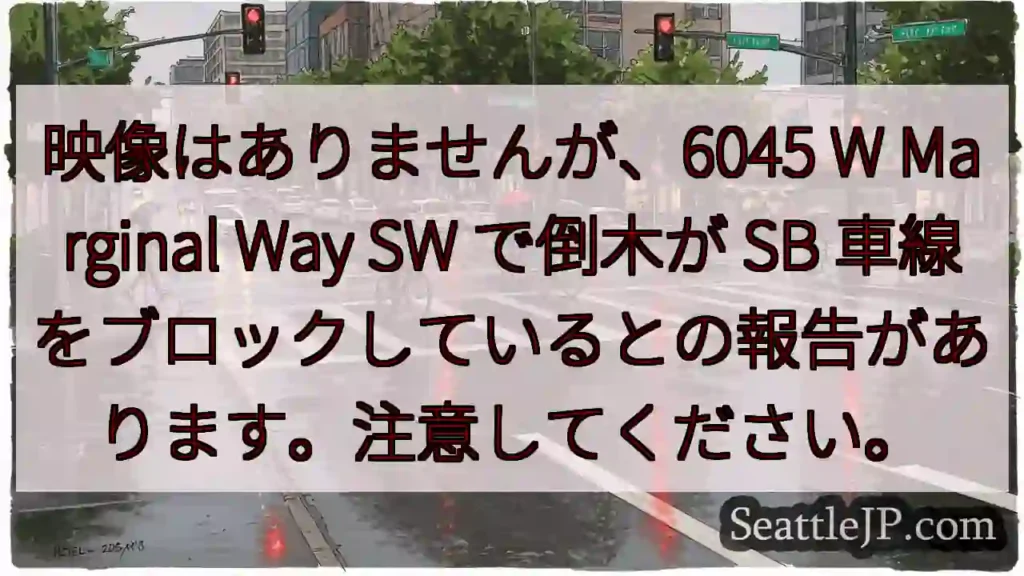 映像はありませんが、6045 W Marginal Way SW で倒木が SB
