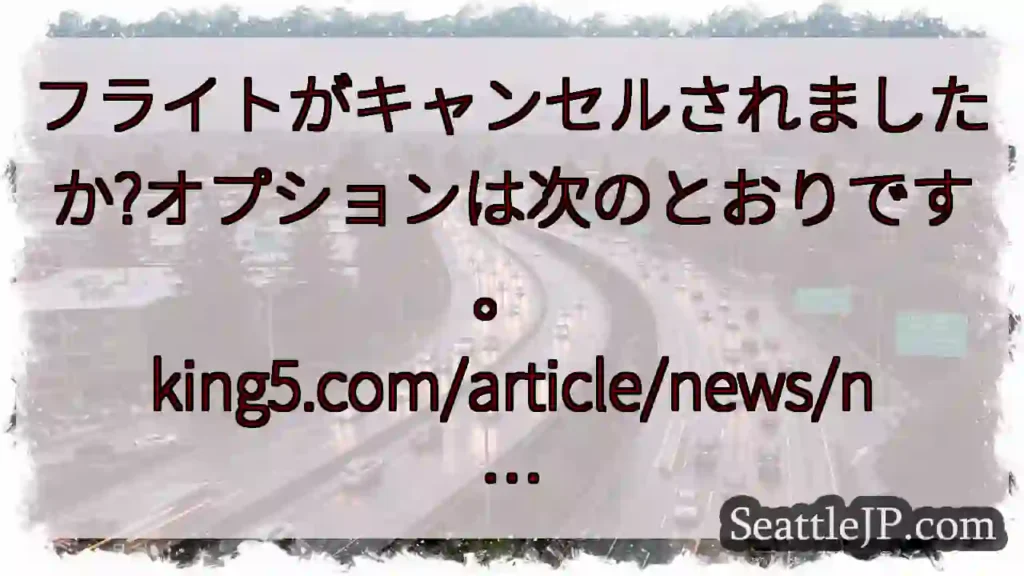 フライトがキャンセルされましたか?オプションは次のとおりです。
