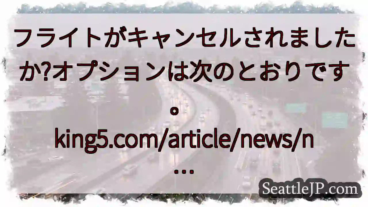 フライトがキャンセルされましたか?オプションは次のとおりです。