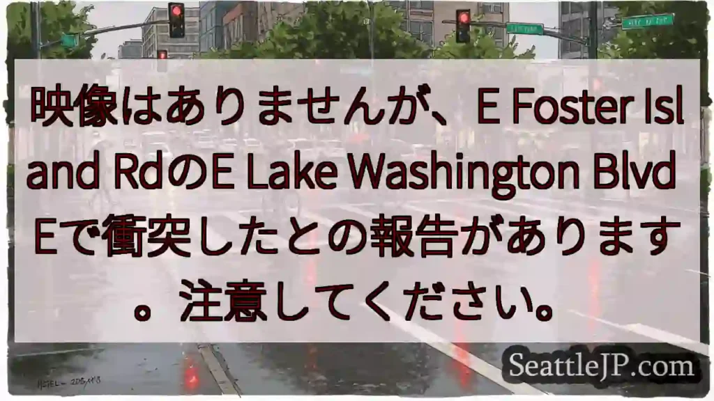 映像はありませんが、E Foster Island RdのE Lake Washington